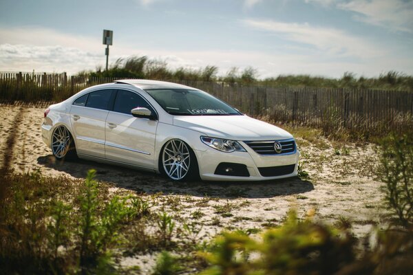 Volkswagen car on the background of nature