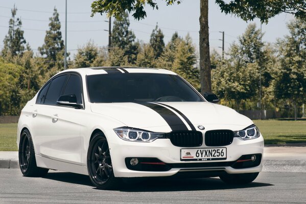 A white car with black stripes is standing on the asphalt