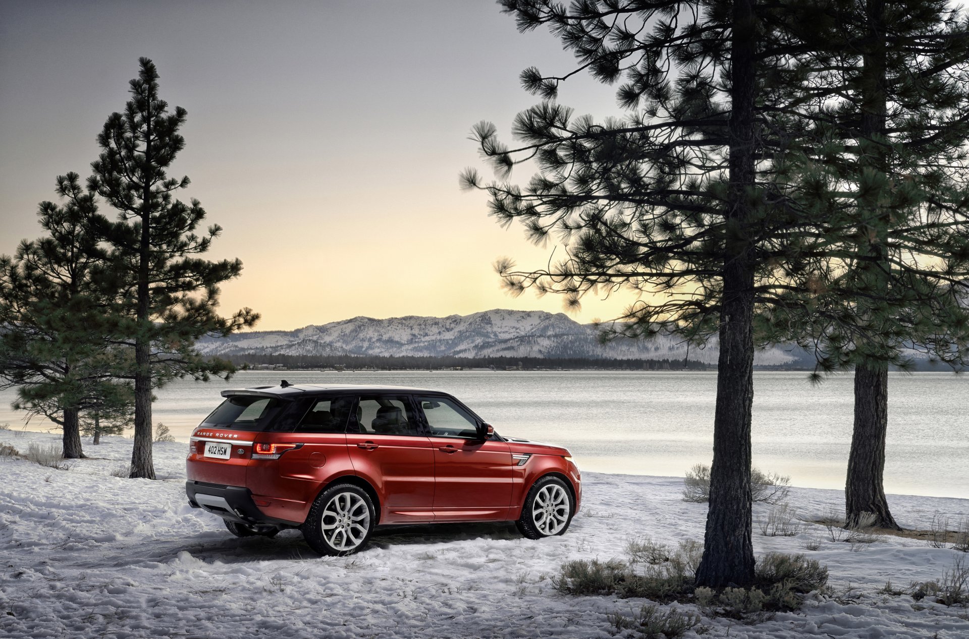 land rover range rover winter range rover sport burgundy tree vehicles photo