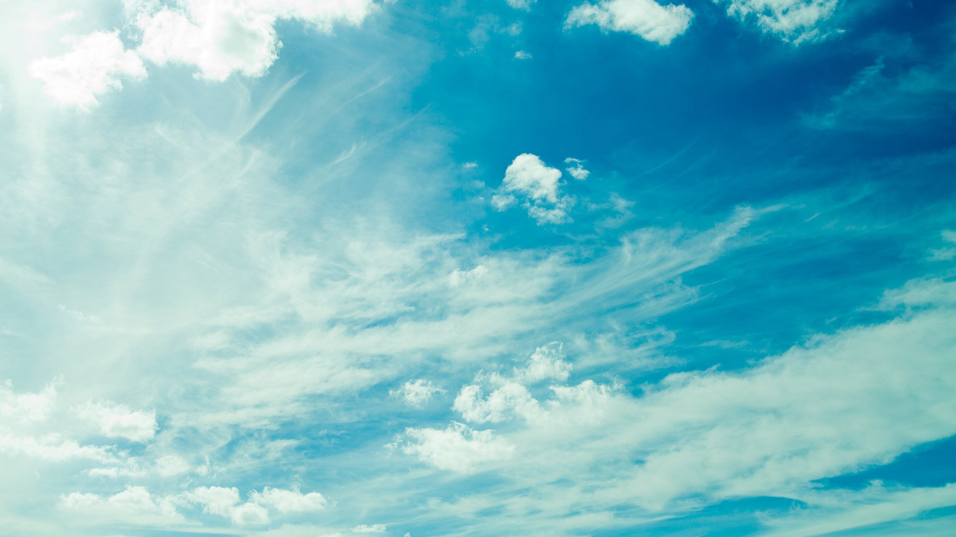 cielo nubes aire planeta vida nubes frescura pureza paloma transparencia