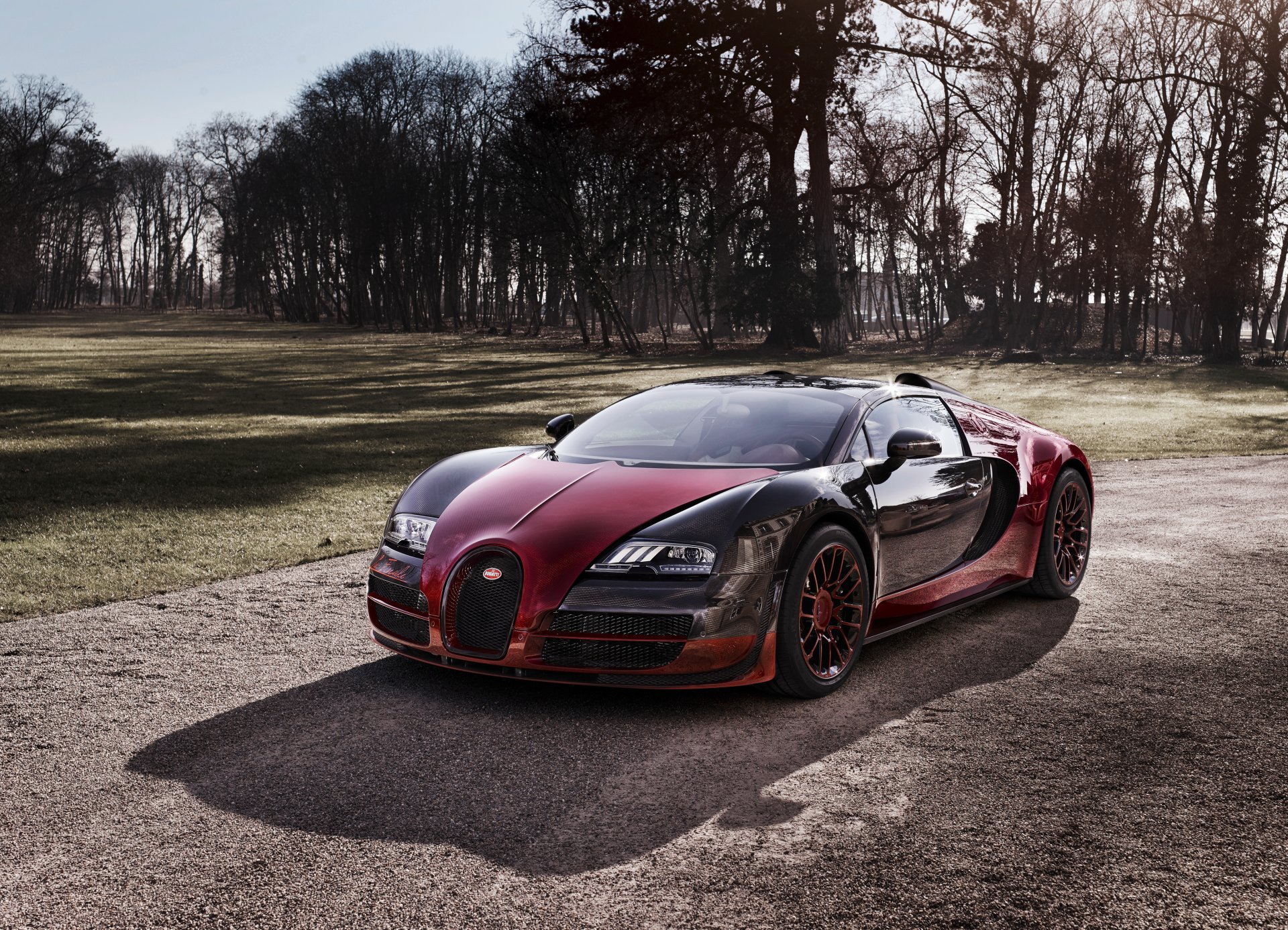 2015 bugatti veyron grand sport vitesse la final bugatti veyron