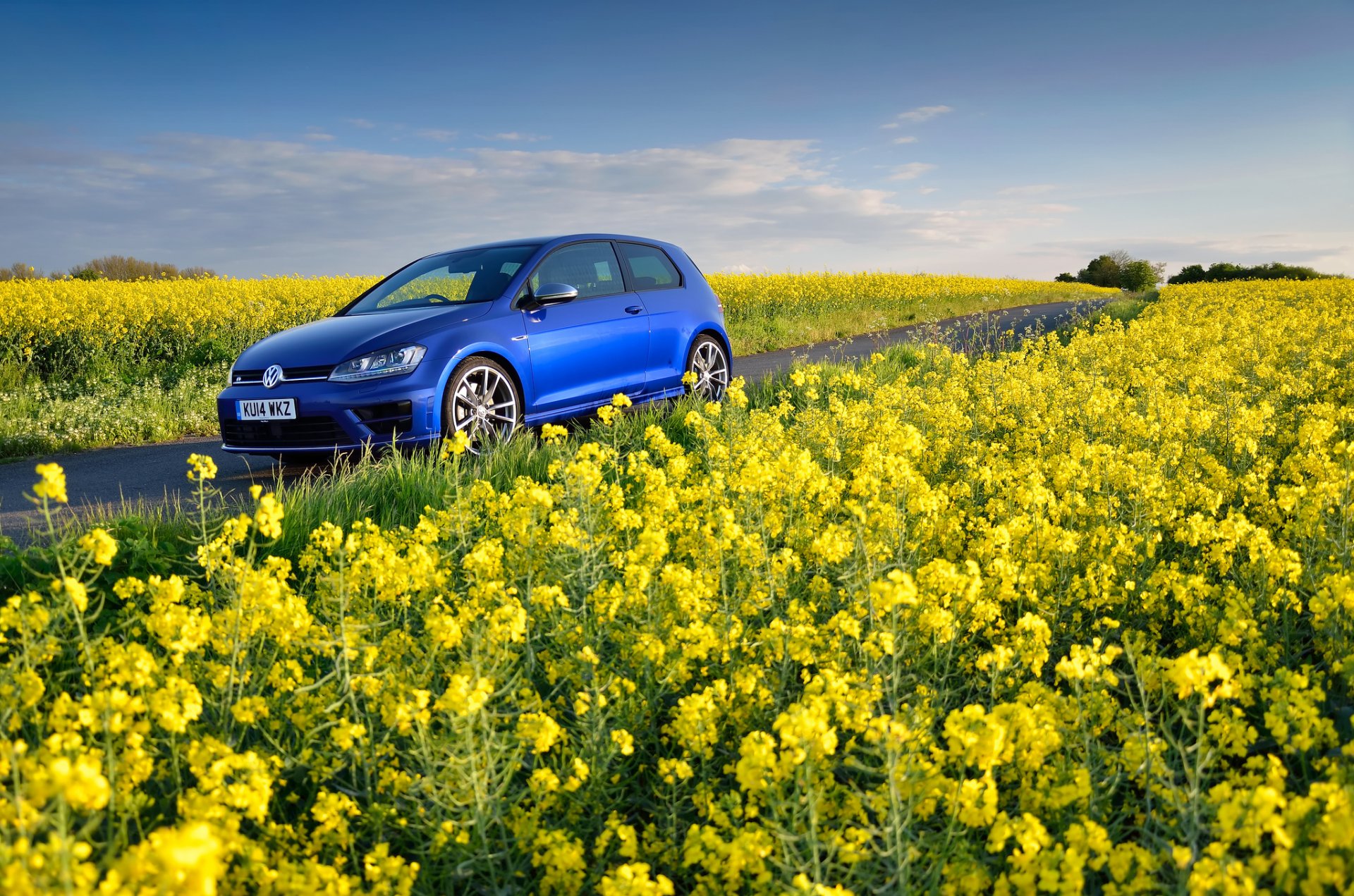 volkswagen golf r mk7 blau volkswagen feld blumen