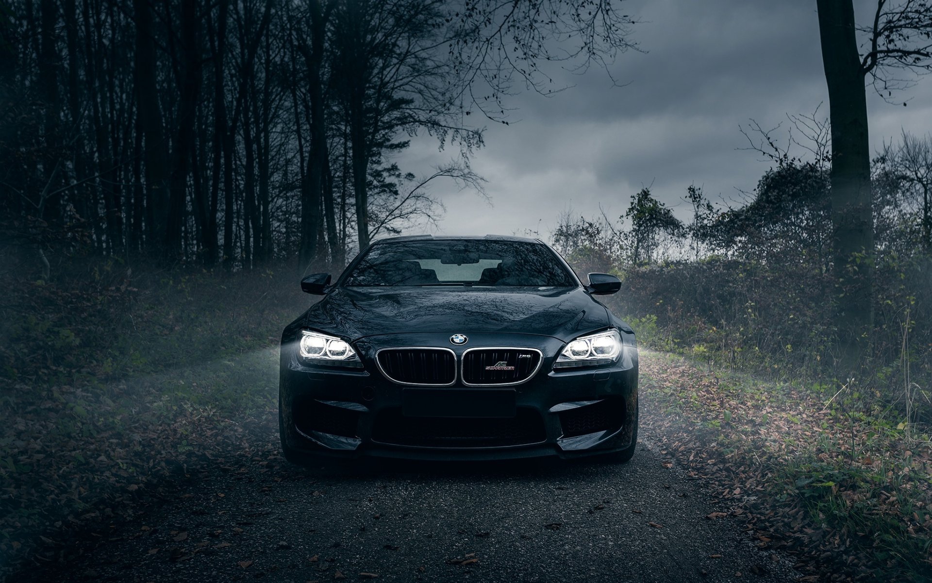 bmw m6 ac schnitzer oscuro bosque caballos