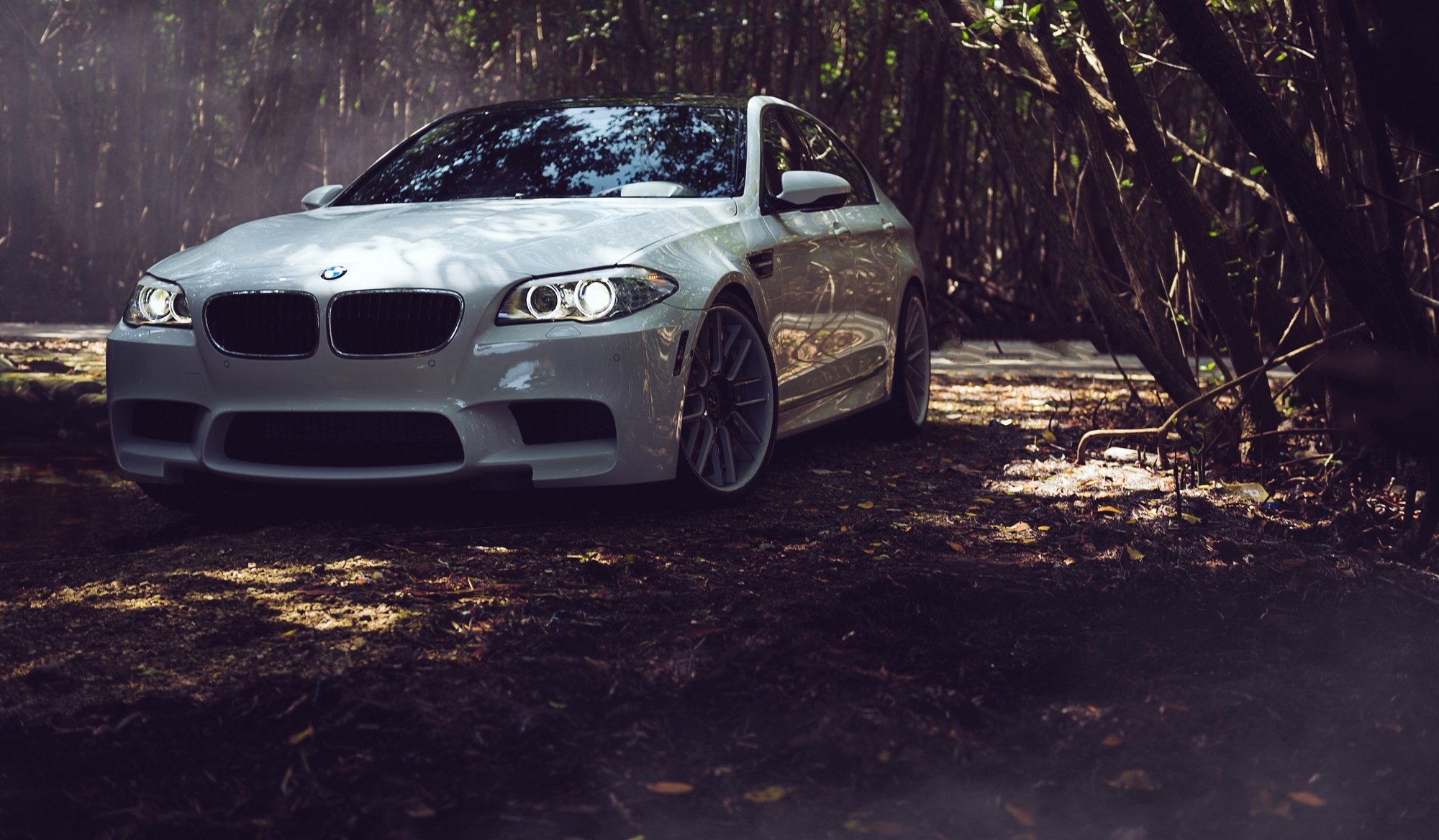 bmw f10 m5 tuning blanco bmw hojas