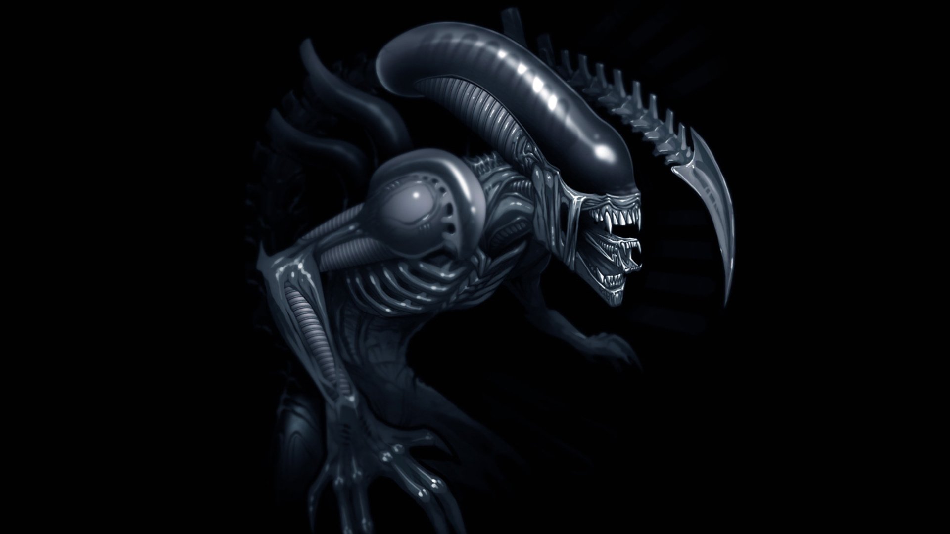 alien alien xenomorph xenomorph weyland-yutani sulaco lv-426 ripley filmy science fiction czarne tło ciemne tło