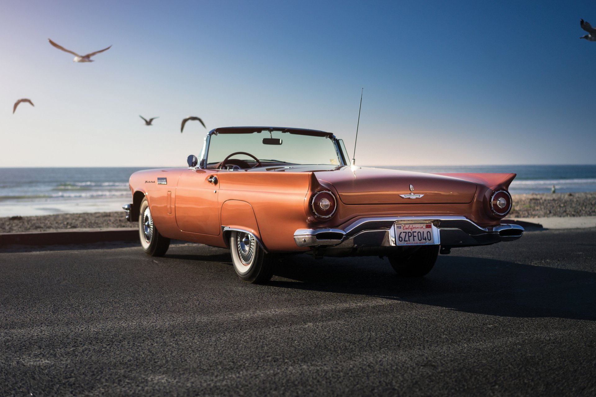 1957 ford thunderbird t-bird speciale sovraccarico classico gabbiano