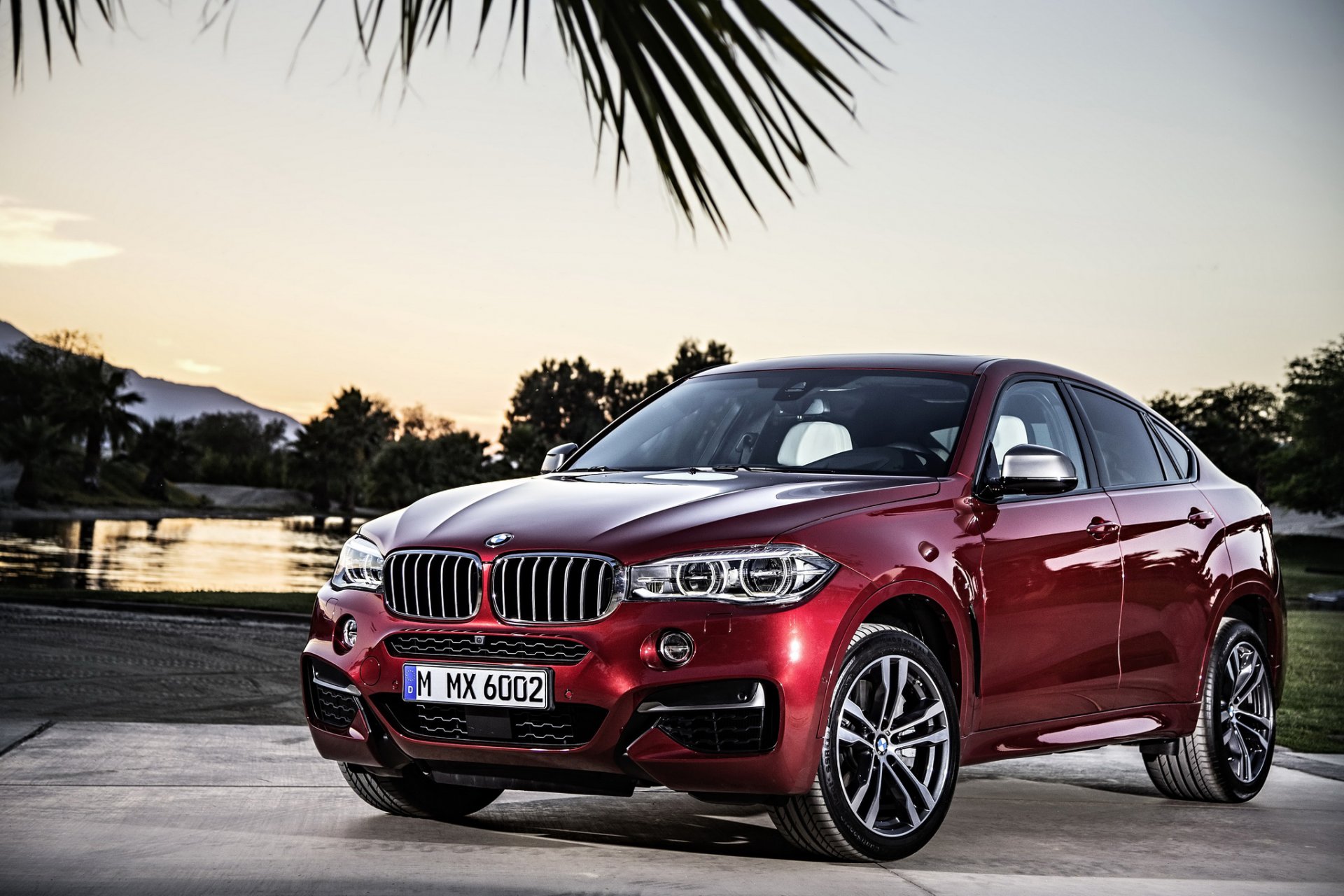 bmw 2014 x6 f16 voiture cerise