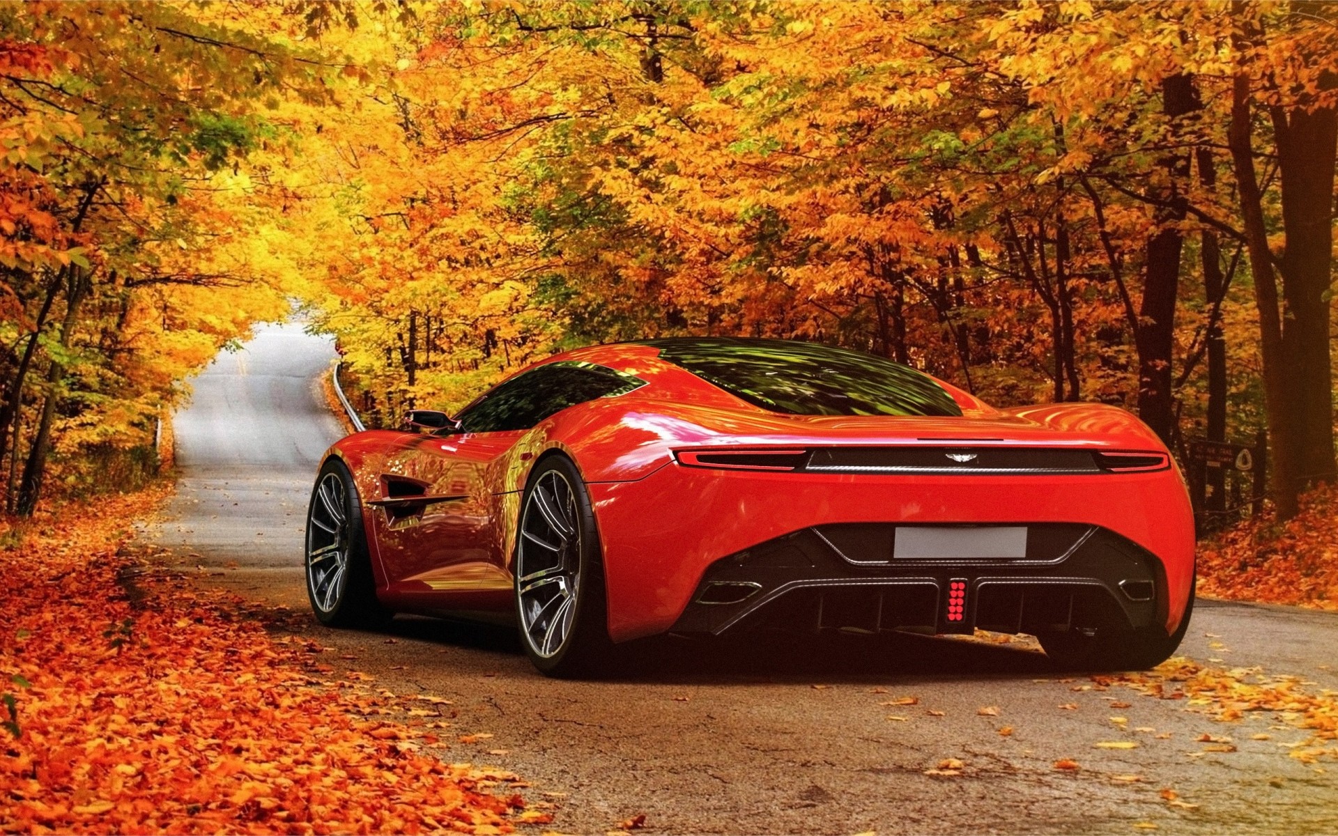 road vehicles park supercar palm aston martin sheet autumn