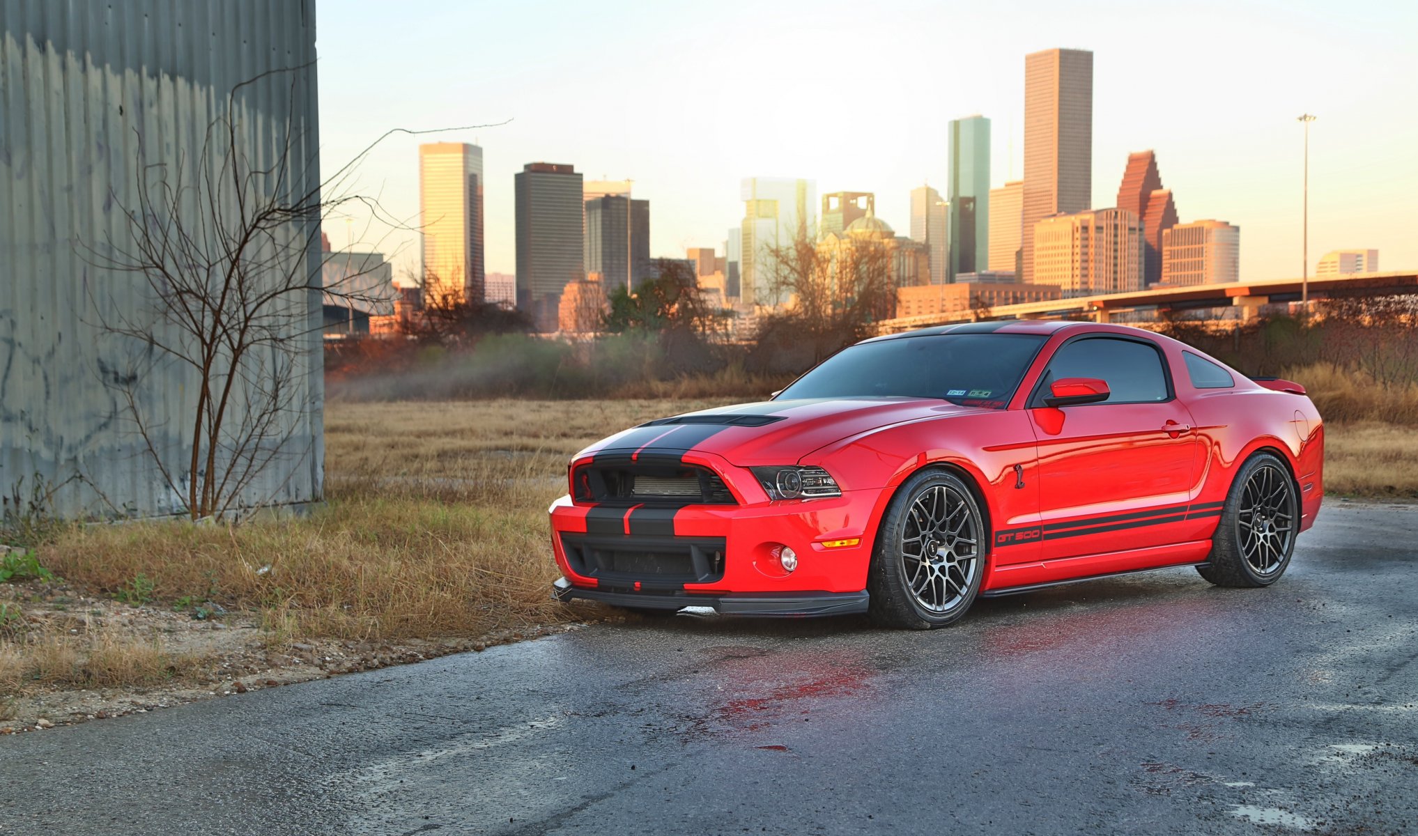 ford mustang cobra shelby gt500 czerwone