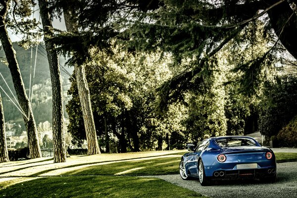 Ferrari Baujahr 2015 im Wald abgestellt