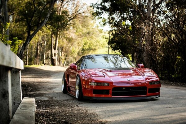 Acura roja entre los árboles de otoño