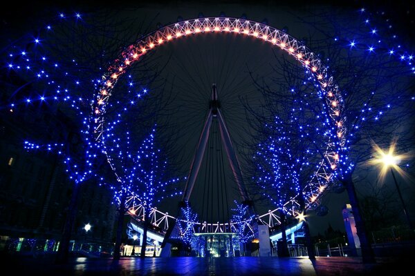 Ferris wheel lights in the park at night