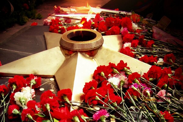 Carnations on the background of eternal flame