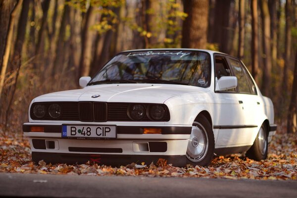 El coche blanco se encuentra en el bosque de otoño