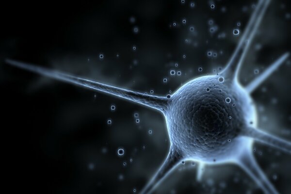 Ein Neuron als Gehirnzelle und sein Signal
