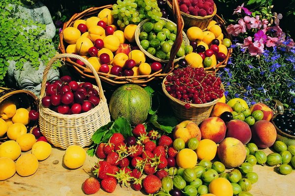 Basket with ripe summer fruits