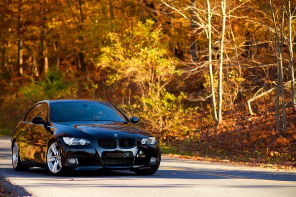 Coche negro en el bosque de otoño