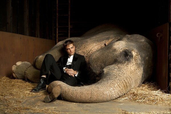 Robert Pattison y el elefante