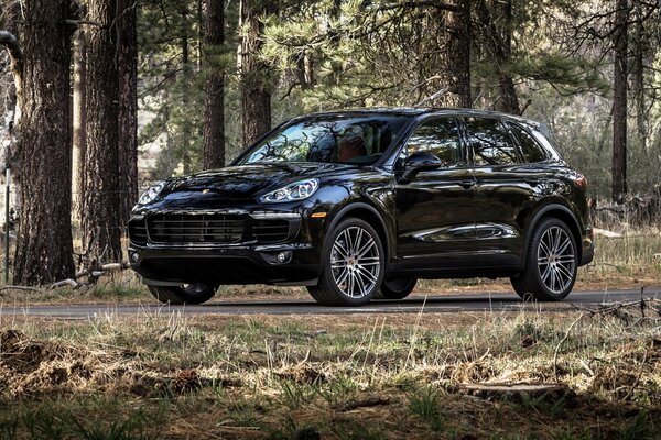 A black Porsche Cayenne is driving along a forest road