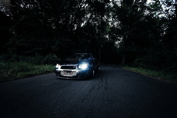 Route de la forêt de voiture au crépuscule