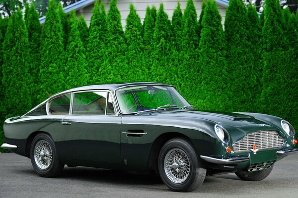 Parmi les arbres verts se trouve une voiture ancienne