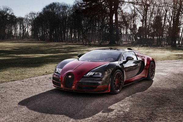 Supercar bugatti veyron sur le chemin de la course