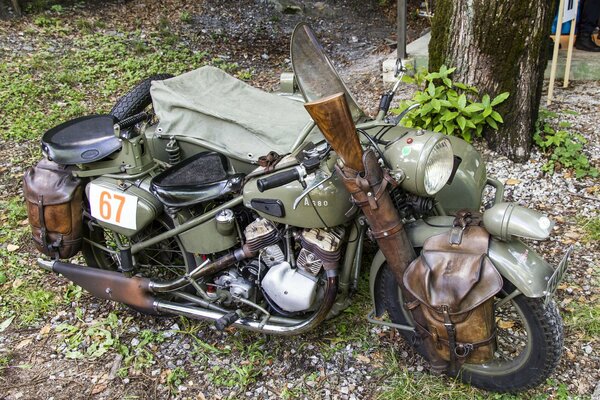 Военный мотоцикл времен второй мировой войны в лесу