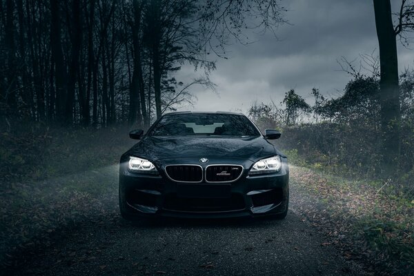 Une voiture bmw m6 Monte dans une forêt sombre