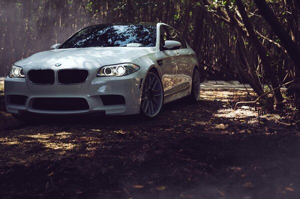 Voiture blanche BMW f10 sur fond de forêt