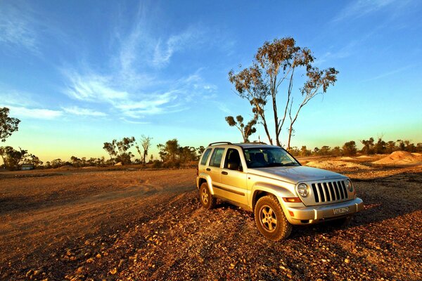 Car SUV jeep on the background of trees and blue sky