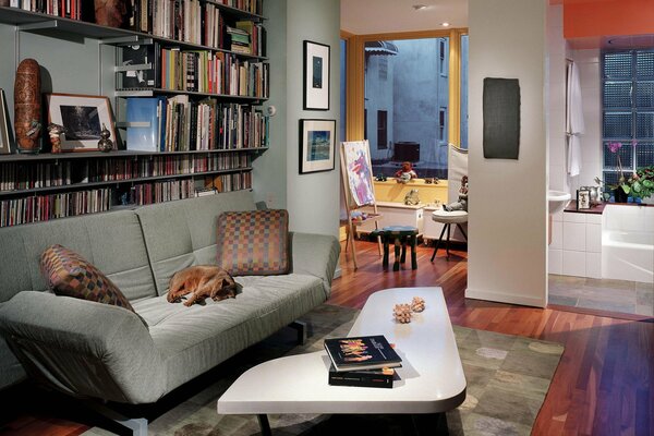 Modernes Interieur. Ein Sofa mit Kissen und einer roten Katze darauf. Eine große Bibliothek mit Büchern, Gemälden und einer Staffelei mit Farben