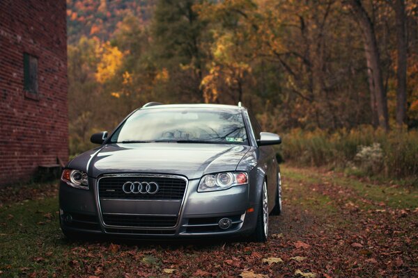 Audi A4 outside the city on the background of crimson foliage