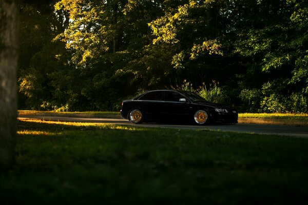 Black Audi A4 in the shade of a dense forest