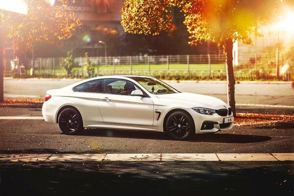 BMW bianca con cerchi neri sullo sfondo della foresta autunnale