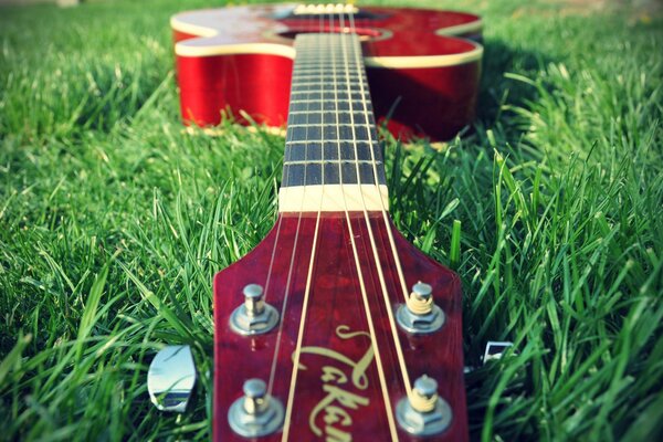 Red guitar in green grass