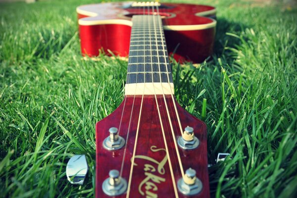 Красная гитара в зелёной траве