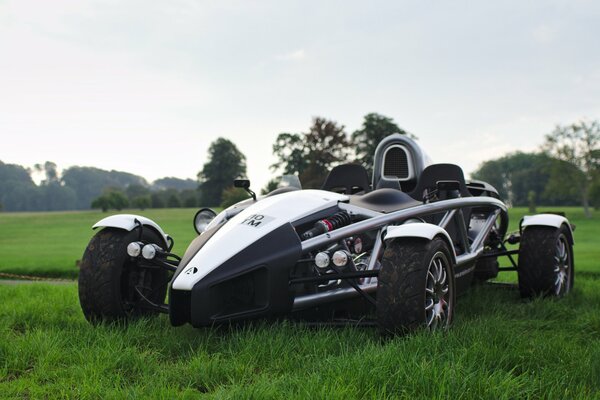 Voiture noire et élégante sur l herbe verte