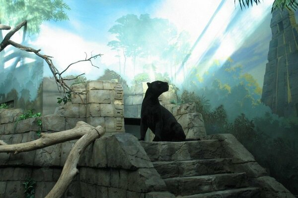 Ein schwarzer Panther sitzt in Trümmern auf einer Treppe