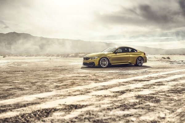 Золотой красавец в пустыне. bmw gtrs4 vorsteine