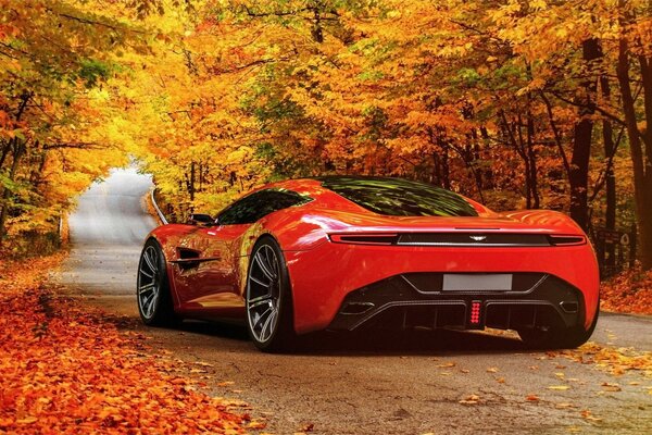 Aston martin rojo en el paisaje de otoño