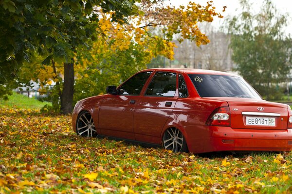 The red priora stands on the autumn carpet