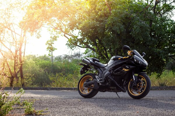 Parmi les arbres et le soleil est une moto