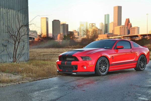 Red Shelby Cobra Ford Mustang GT500 on the city background field