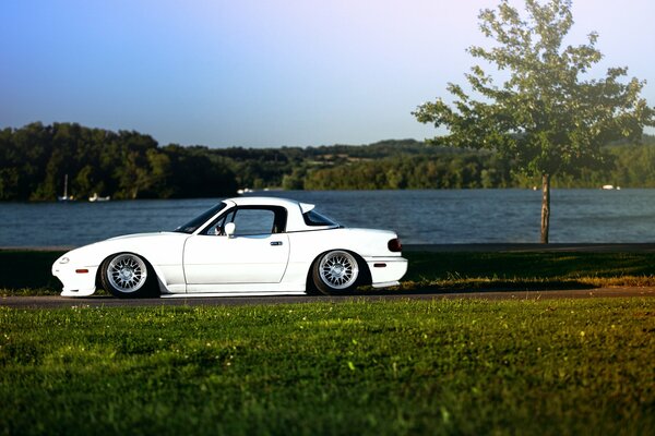 White, low landing, Mazda by the pond among the green grass
