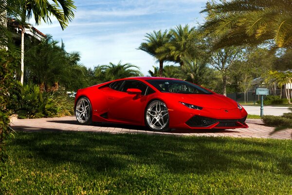 Bold Red Lamborghini Huracan