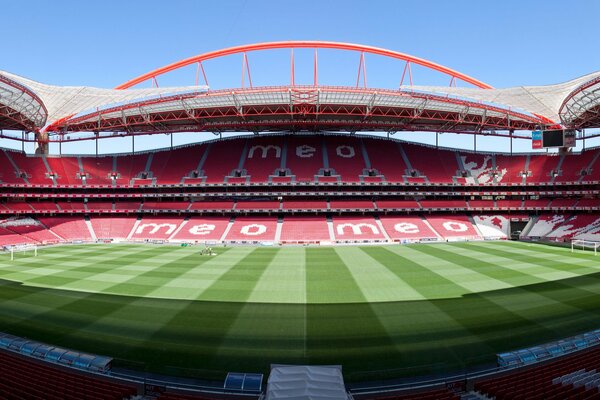The new green field at the stadium in Portugal