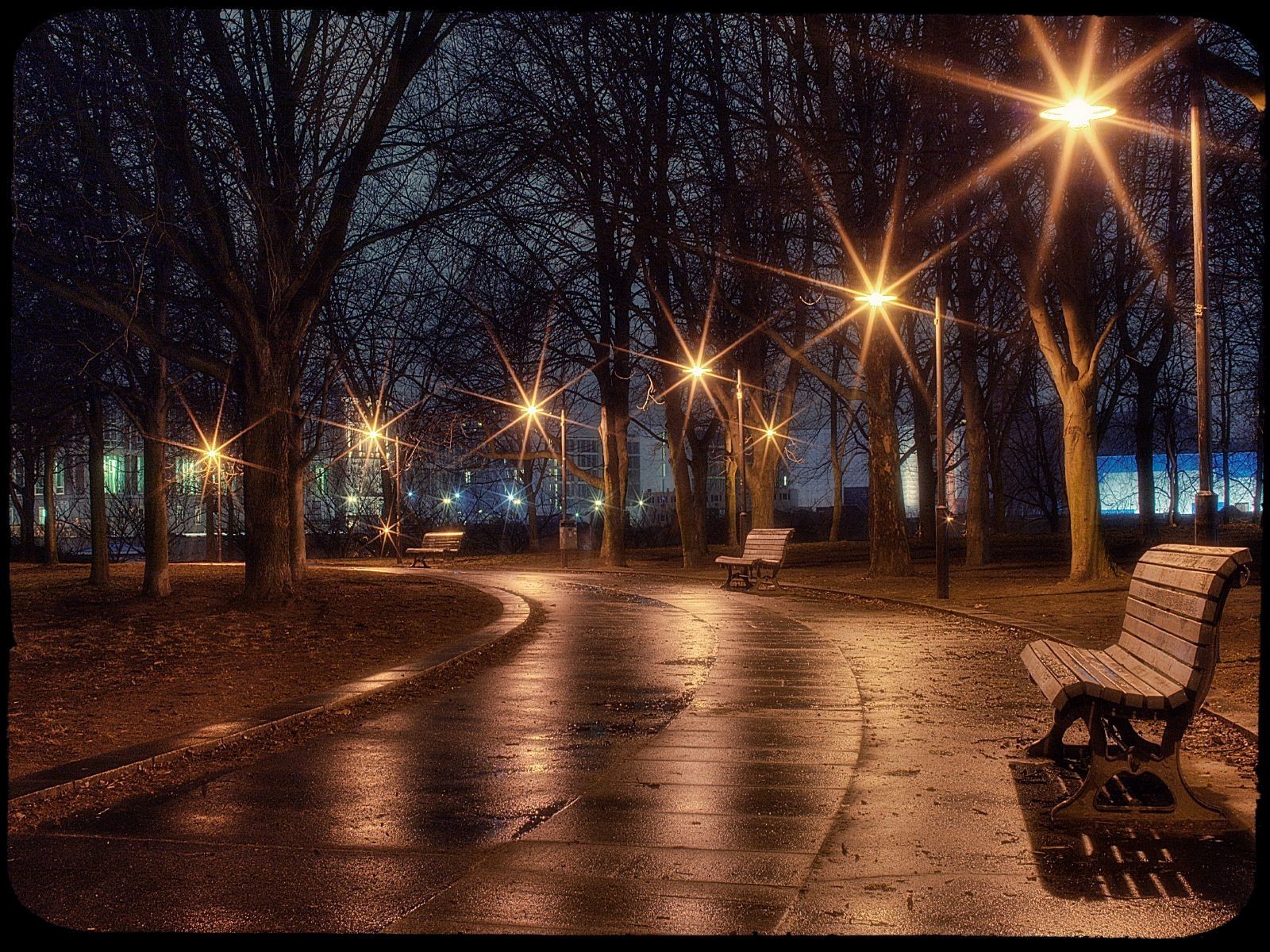 alley lamps bench