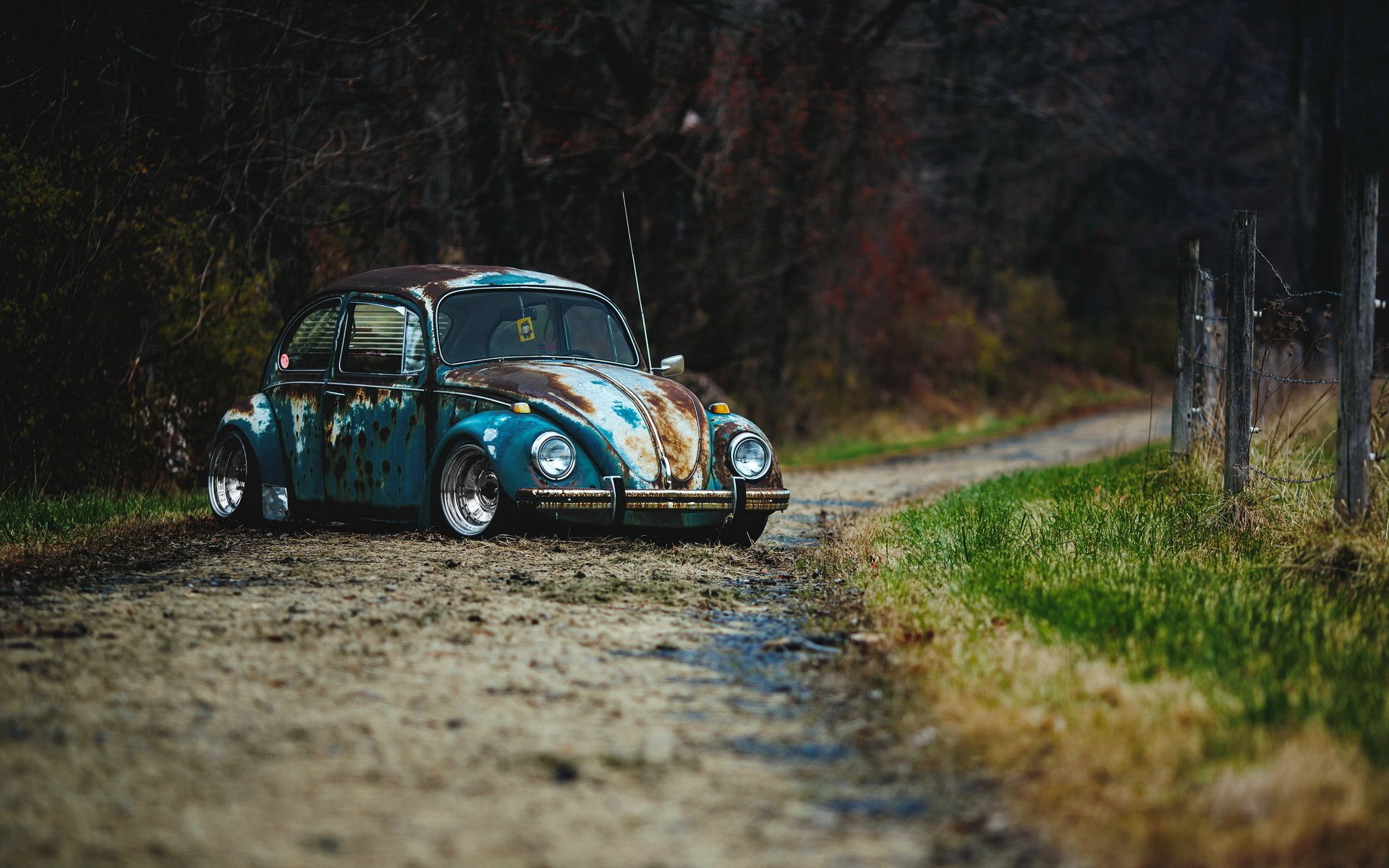 volkswagen beetle rat rod car vw