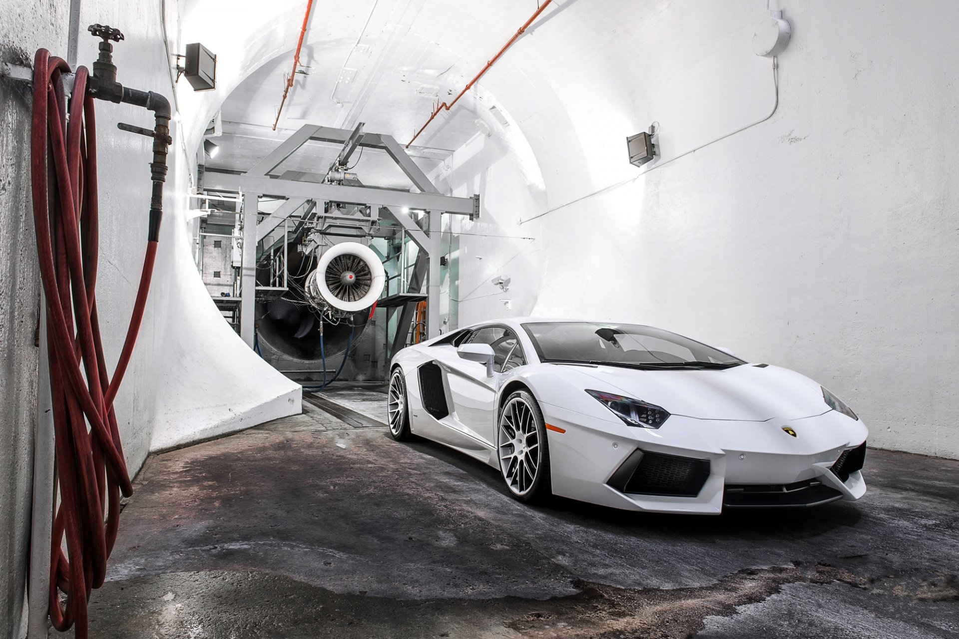 lamborghini aventador lp700-4 biały lpmborgini aventador widok z przodu wąż kranowy