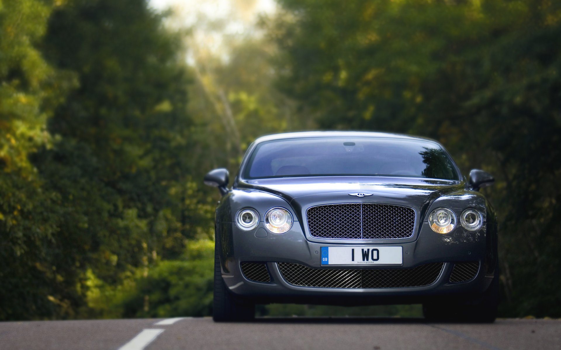 bentley continental gt auto coche faros parrilla bosque gris coche logotipo